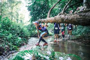 BIB: 
                            <button type="button" onclick="openModal(25444176)" class="btn btn-primary btn-sm float-right btn-popup" data-toggle="modal" data-target=".modal-high-quality">
                        <i class="fas fa-shopping-cart"></i> Add to Cart
                    </button>
                                            <button type="button" onclick="isThisMe(25444176, true)" class="btn btn-success btn-sm float-right btn-popup btn-isme hidden" data-toggle="tooltip" data-placement="bottom" title="นี่คือรูปของคุณใช่ไหม คลิกที่นี่เพื่อเอาเข้าอัลบั้ม">
                        <i class="fas fa-plus"></i> Add to album
                    </button>
                    <button type="button" onclick="isThisMe(25444176, false)" class="btn btn-warning btn-sm float-right btn-popup btn-isnotme hidden">
                        <i class="fas fa-ban"></i> Remove from album
                    </button>